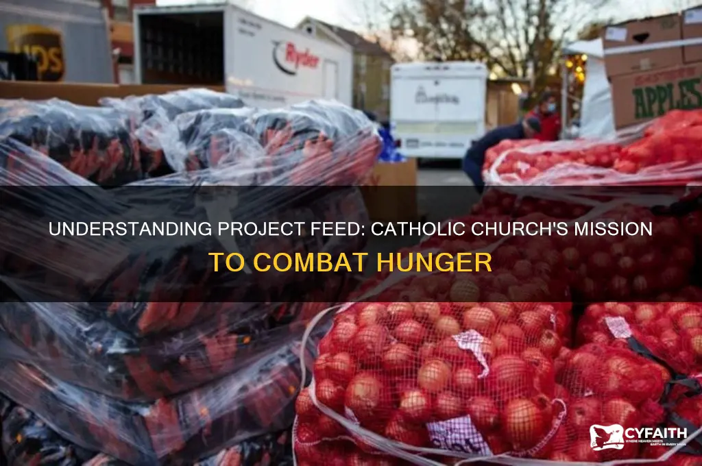 what is project feed though the catholic ch