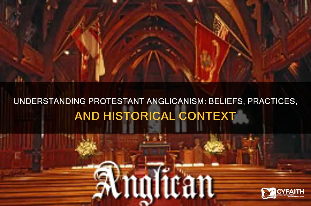 what is protestant anglican