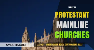 Exploring the Beliefs and Practices of Protestant Mainline Churches