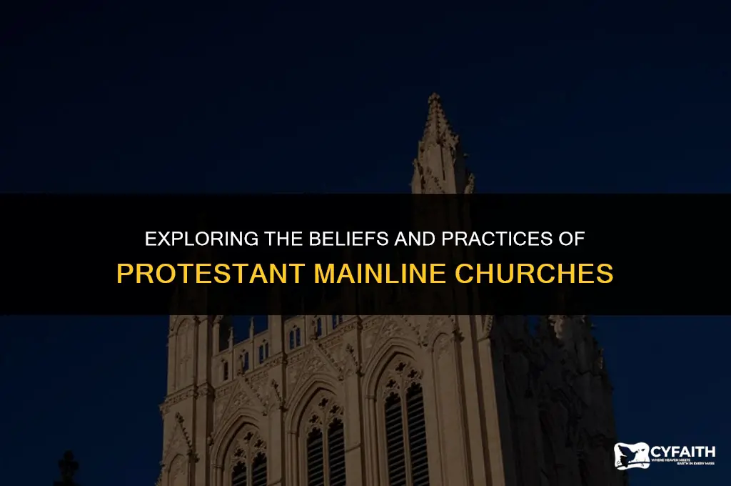 what is protestant mainline churches