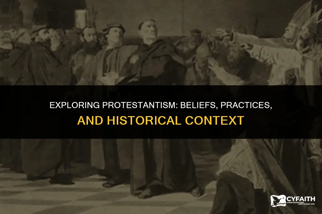 what is protestant religion mean