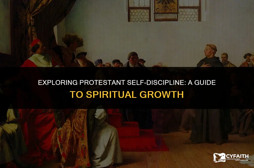 what is protestant self discipline