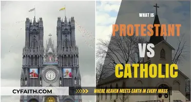 Exploring the Core Differences: Protestant vs Catholic Beliefs