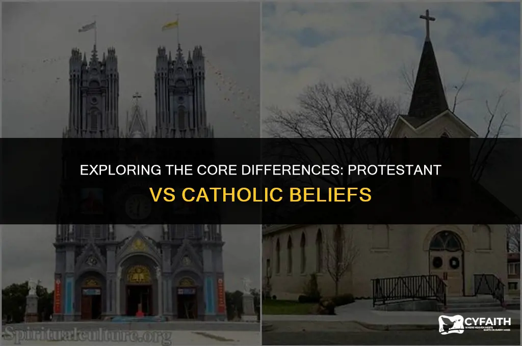 what is protestant vs catholic