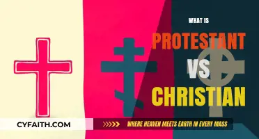 Exploring Faith: Understanding Protestant and Christian Beliefs