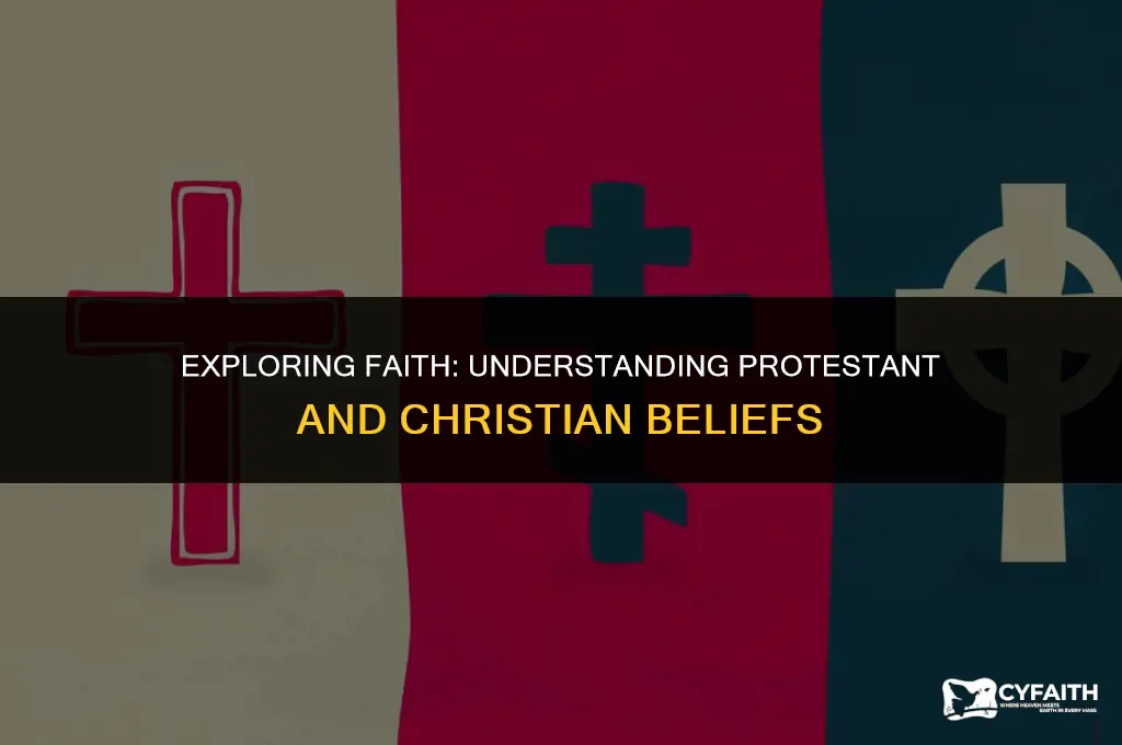 what is protestant vs christian