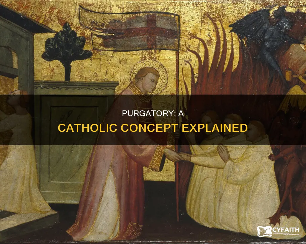 what is purgatory in the catholic religion