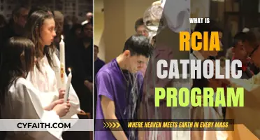 Understanding the RCIA Catholic Program: A Journey to Faith