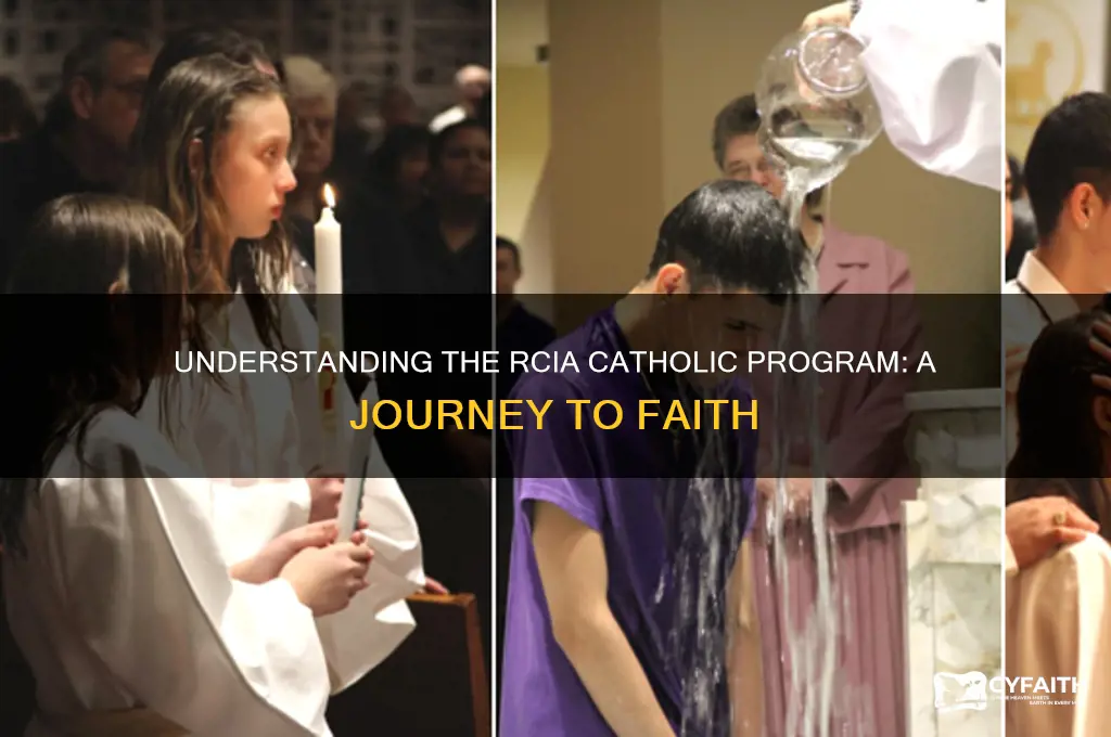 what is rcia catholic program