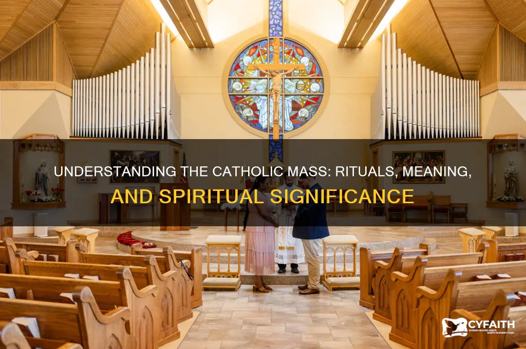 what is really catholic massw