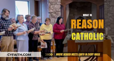 Understanding the Core Principles of the Catholic Faith: What is Reason?