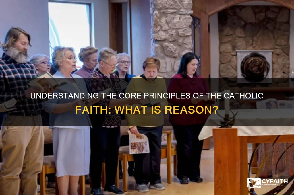 what is reason catholic