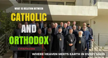 Catholic and Orthodox Churches: Historical Ties, Theological Differences, and Unity Efforts