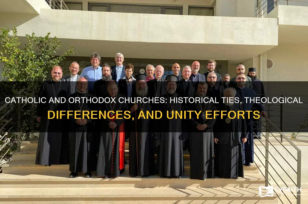 what is relation between catholic and orthodox