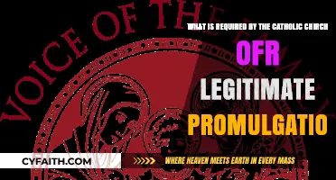 Catholic Church's Requirements for Legitimate Promulgation Explained