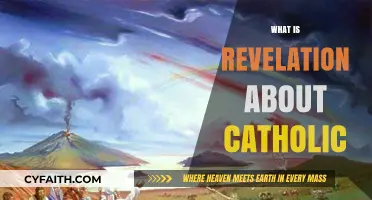 Understanding Revelation: A Catholic Perspective on Divine Truth and Faith