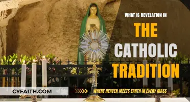 Understanding Divine Revelation in Catholic Faith and Tradition