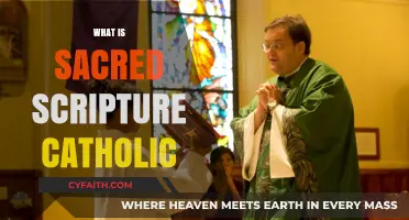 Understanding Sacred Scripture: The Heart of Catholic Faith and Tradition