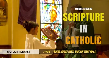 Understanding Sacred Scripture: The Heart of Catholic Faith and Tradition