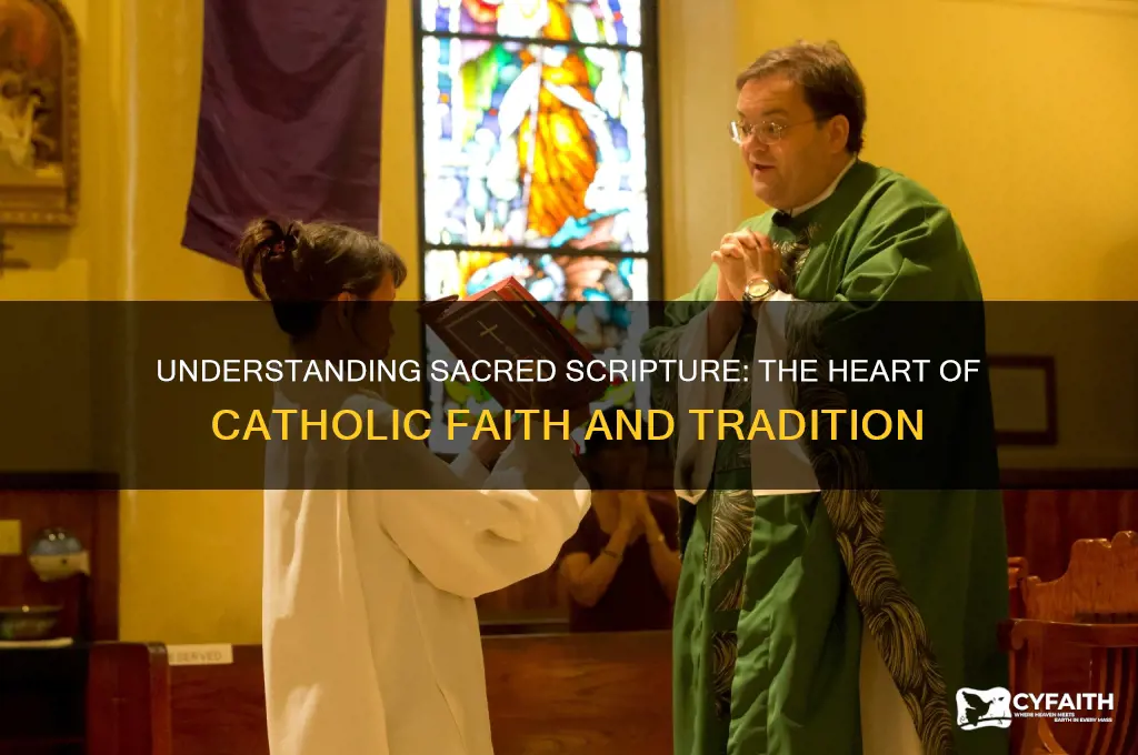 what is sacred scripture in catholic