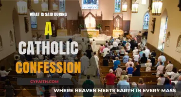 Understanding the Sacred Words Spoken in Catholic Confession