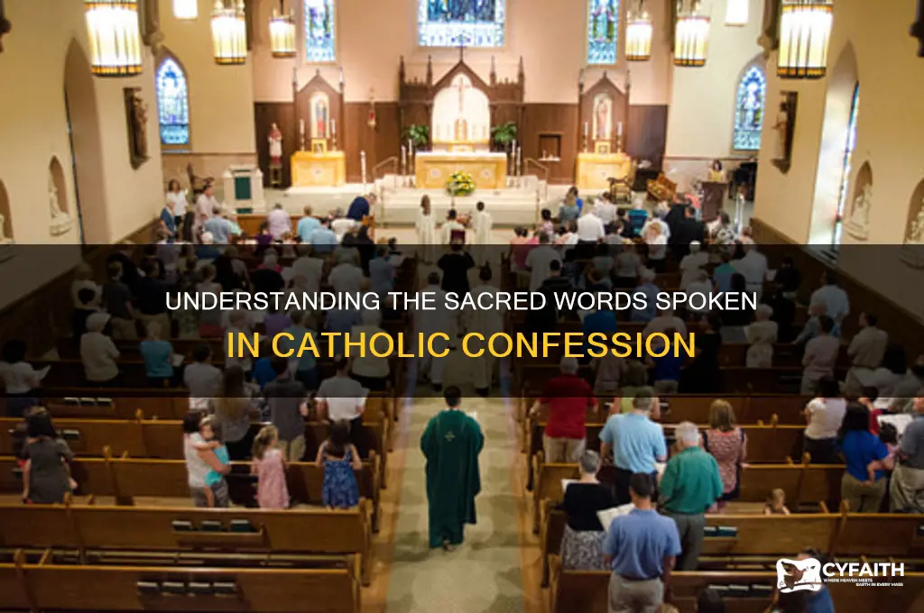 what is said during a catholic confession