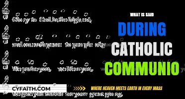 Understanding the Sacred Words Spoken During Catholic Communion