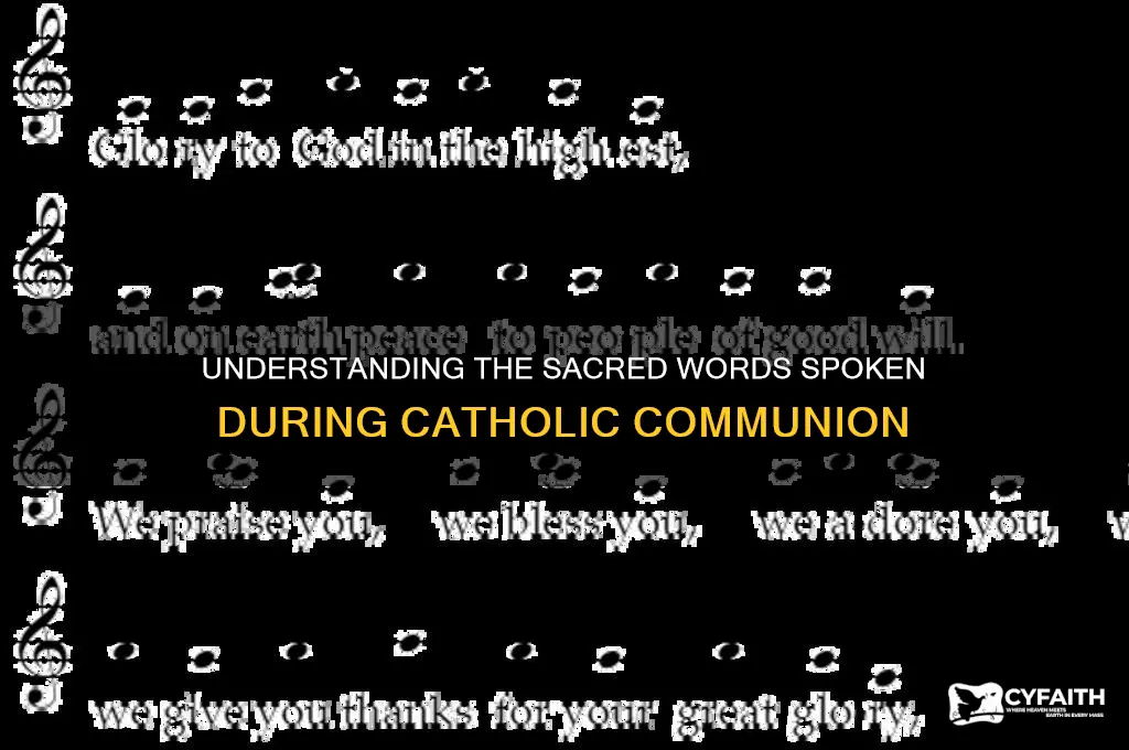 what is said during catholic communion