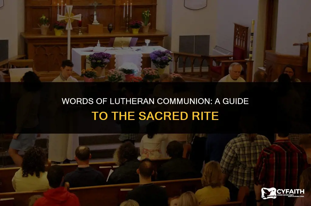 what is said during lutheran communion