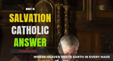 Understanding Salvation: The Catholic Perspective on Eternal Life and Grace