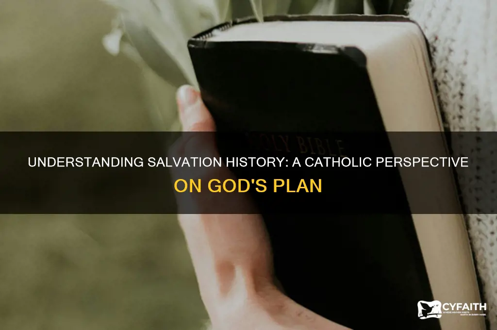 what is salvation history catholic