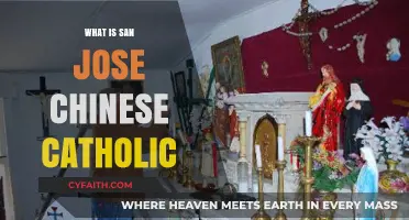 Exploring San Jose's Chinese Catholic Community: Faith, Culture, and Heritage