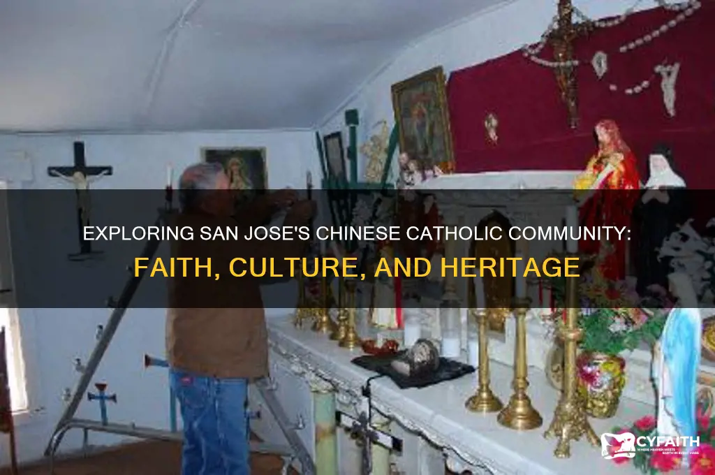 what is san jose chinese catholic
