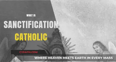 Understanding Sanctification in the Catholic Faith: A Spiritual Journey