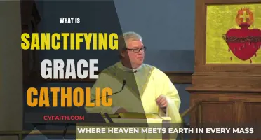 Understanding Sanctifying Grace in Catholic Theology: A Comprehensive Guide