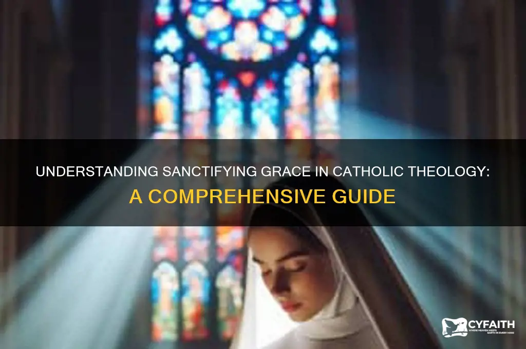 what is sanctifying grace catholic