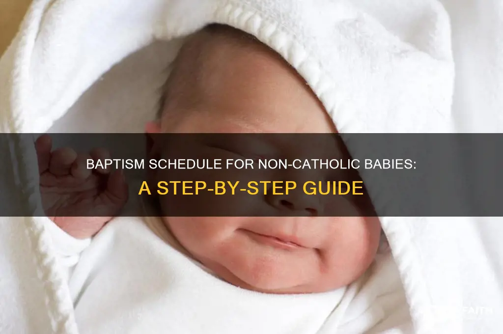 what is schedule for baptism of a non catholic baby