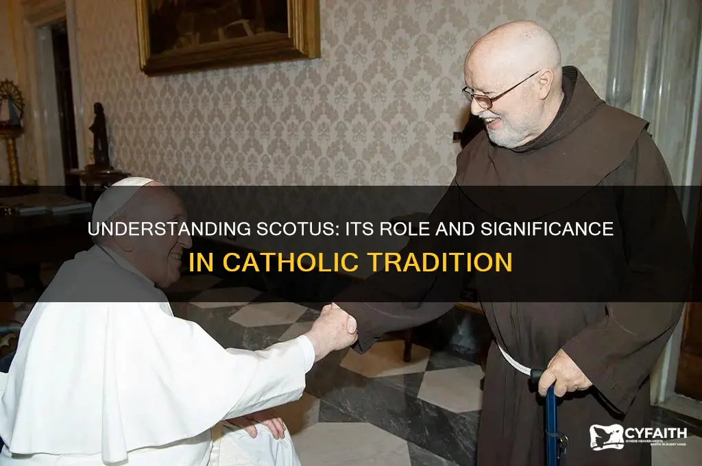 what is scotus in the catholic realm