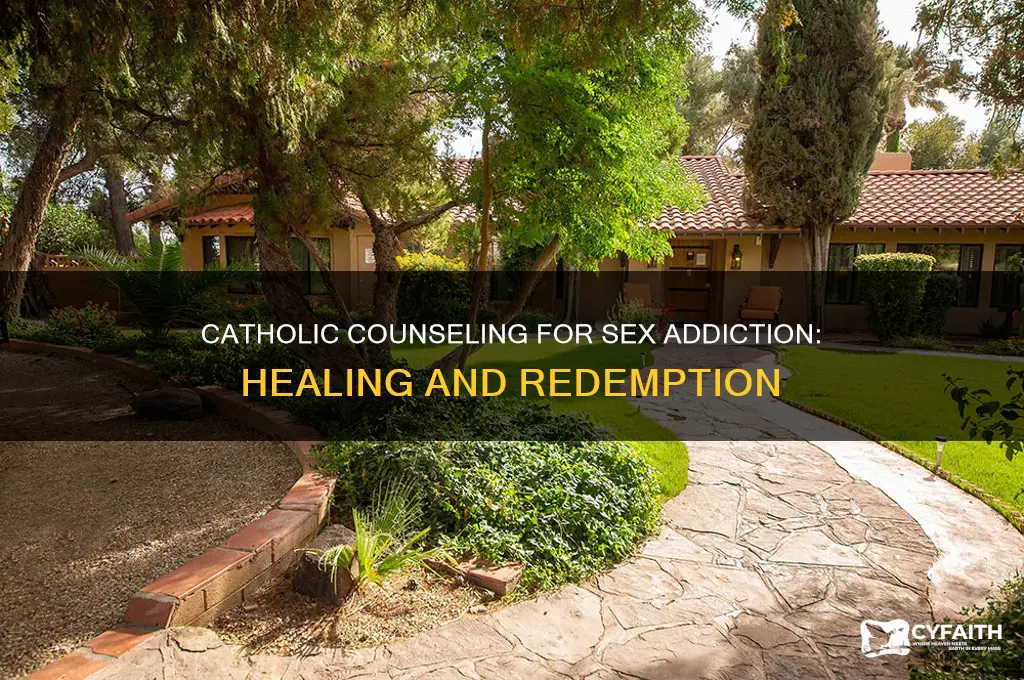 what is sex addiction catholic counseling