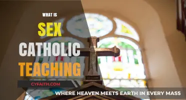 Understanding Catholic Teachings on Sexuality: Faith, Morality, and Human Love