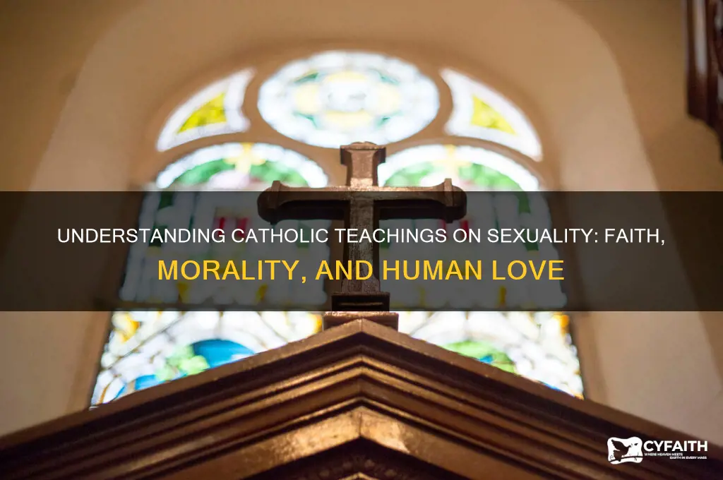 what is sex catholic teaching