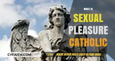 Understanding Sexual Pleasure Through Catholic Teachings and Perspectives