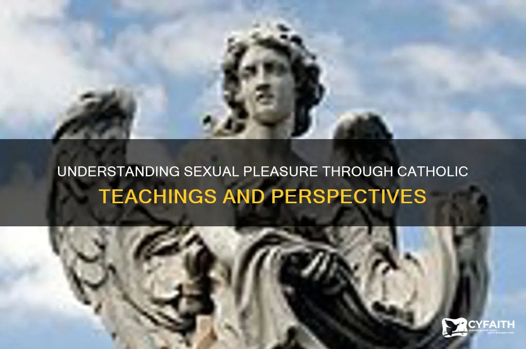 what is sexual pleasure catholic