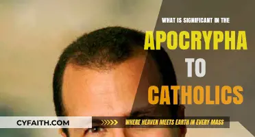 Apocrypha's Role: Catholic Significance and Spiritual Insights Explored