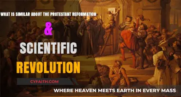 Unveiling Parallels: The Protestant Reformation and Scientific Revolution