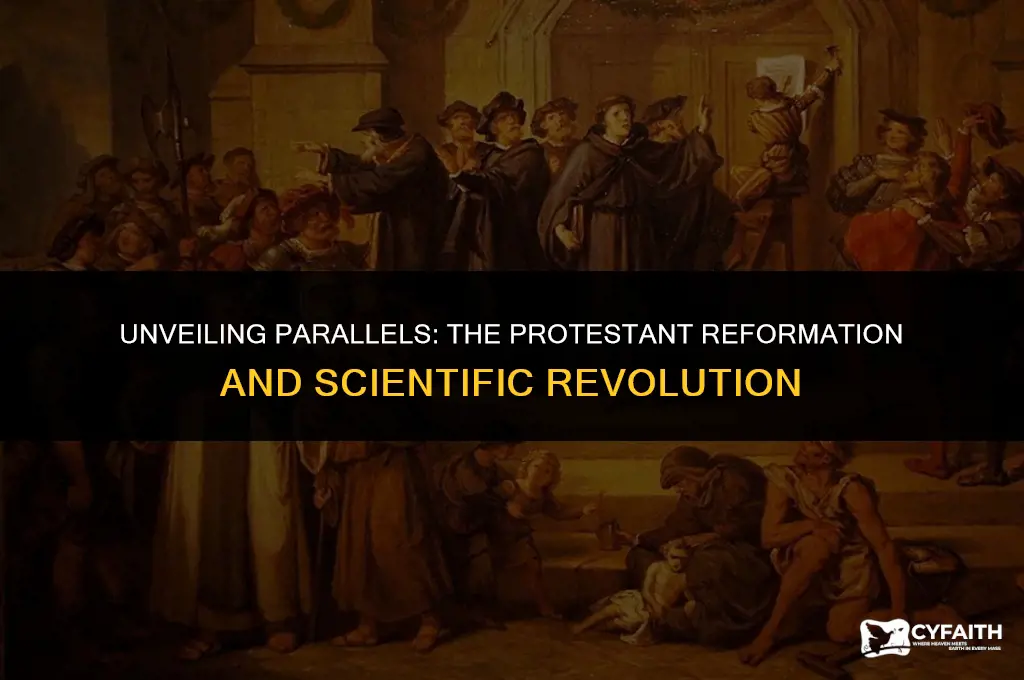 what is similar about the protestant reformation & scientific revolution