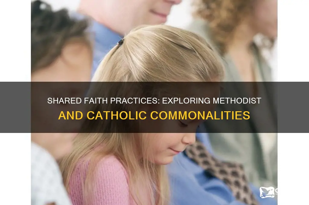 what is similar in methodist and catholic