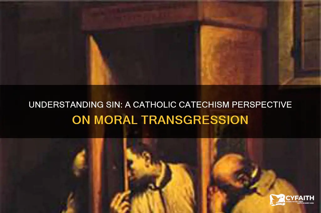 what is sin catholic catechism
