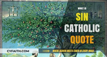 Understanding Sin: Catholic Insights and Scriptural Reflections on Moral Failings