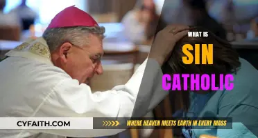 Understanding Sin in Catholicism: A Guide to Its Meaning and Impact